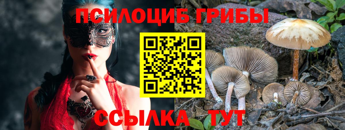 где найти наркотики  Галлюциногенные грибы мицелий  Анапа  Вход с VPN  Галлюциногенные грибы Psilocybine cubensis 